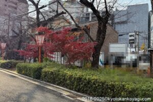 京都紅葉状況2025年12月14日