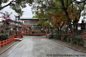 京都紅葉状況2025年12月21日
