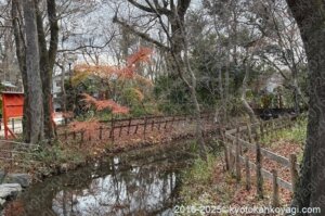 京都紅葉状況2025年12月27日