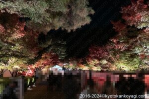 京都紅葉最新情報2024/11/28