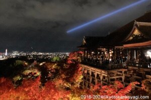 京都紅葉最新情報2024/11/28