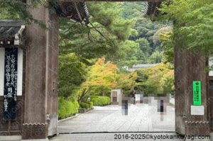 京都紅葉状況2025年10月11日