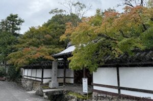 京都紅葉状況2025年10月11日