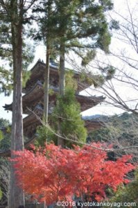 醍醐寺の紅葉