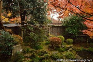 宝泉院鶴亀の庭