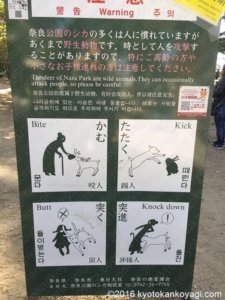 奈良公園の鹿の注意書き