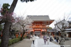 八坂神社南楼門の桜