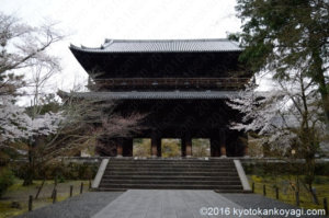 2020年南禅寺の桜