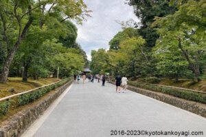 京都混雑状況2023年8月