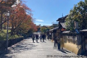 京都混雑状況2022年11月