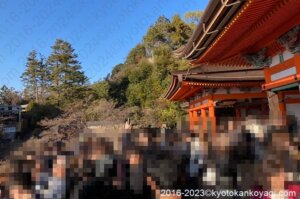 京都清水寺混雑状況2024年1月
