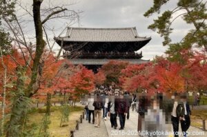 京都混雑状況2021年11月