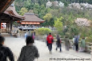 京都混雑状況2024年4月
