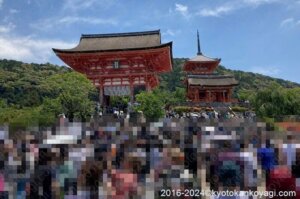 京都混雑状況2024年6月
