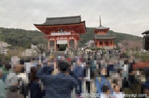 京都混雑状況2023年4月