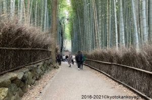 京都混雑状況2022年2月