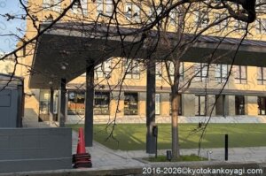 京都桜開花状況2026年3月20日