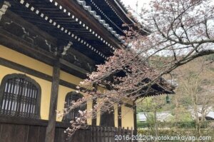 南禅寺の桜2022