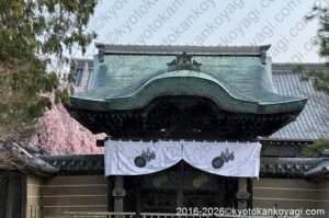 京都桜開花状況2026年3月29日