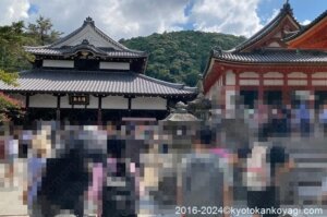 京都混雑状況2024年9月