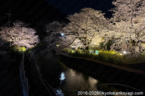 琵琶湖疏水ライトアップ