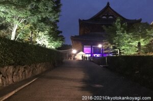 東福寺青もみじライトアップ