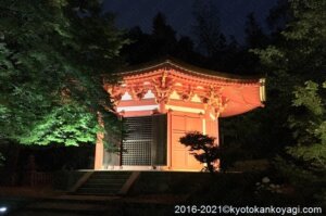 東福寺青もみじライトアップ