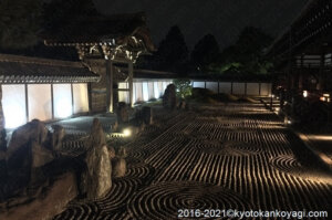 東福寺青もみじライトアップ