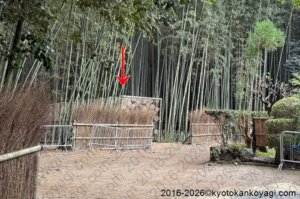 嵐山月灯路2026