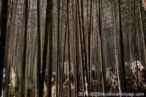 嵐山月灯路2025