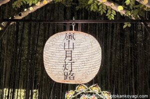 嵐山月灯路2025