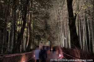 嵐山月灯路2025