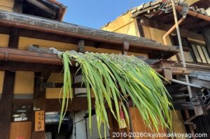 軒菖蒲