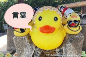 アフロアヒル